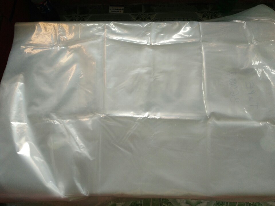 Clear plastic bags